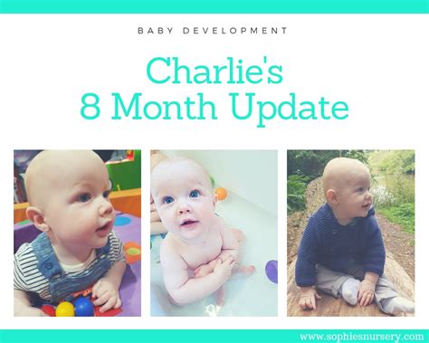 Baby Development At 8 Months Old Charlies Monthly Update Sophies