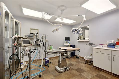 Our clinic is responsible for providing primary health care for patients of all ages. Vet Near Me 70065 - Chateau Veterinary Hospital