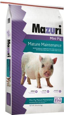 Mazuri feed products are not for sale in the eu. Mazuri Mini Pig Mature Maintenance Food, 25-lb bag - Chewy.com