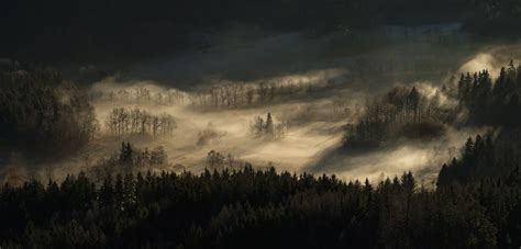 Hintergrundbilder Sonnenlicht Bäume Landschaft Wald Nacht Natur