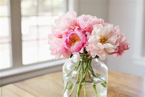 Light Pink Peonies Bouquet Wallpapers Wallpaper Cave