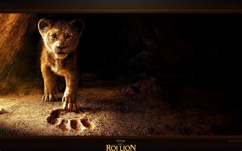 Fond Décran Pc Le Roi Lion Lion Roi Le Ecran Film Wallpaper Fonds
