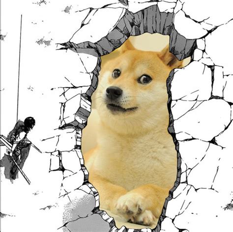 Doge Meme Original Doge Meme Original Dog Apsgeyser Looking For