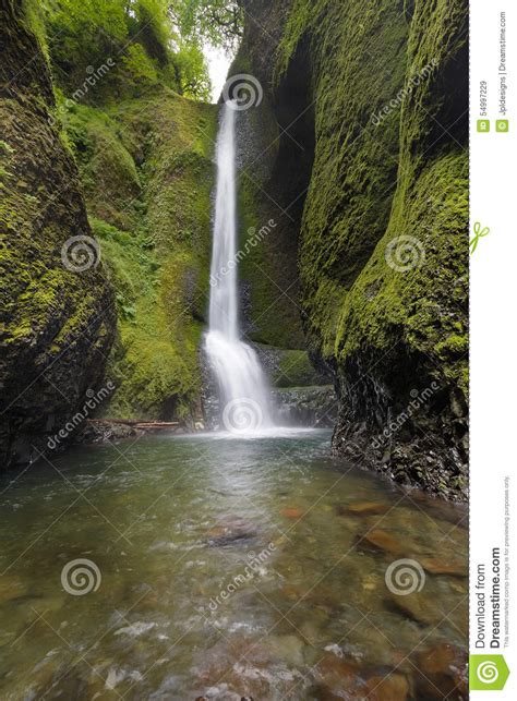 Lower Oneonta Falls In Oregon Stock Image Image Of Water Forest