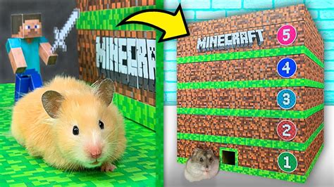 Hamsters In A 5 Level Minecraft Maze Youtube