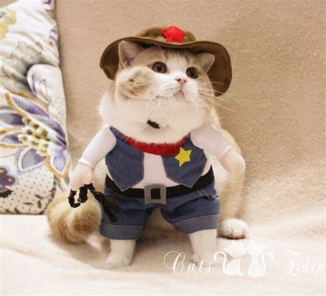 Popular Pet Cat Costume Funny West Cowboy Pet Dog Clothes Kitty Suit
