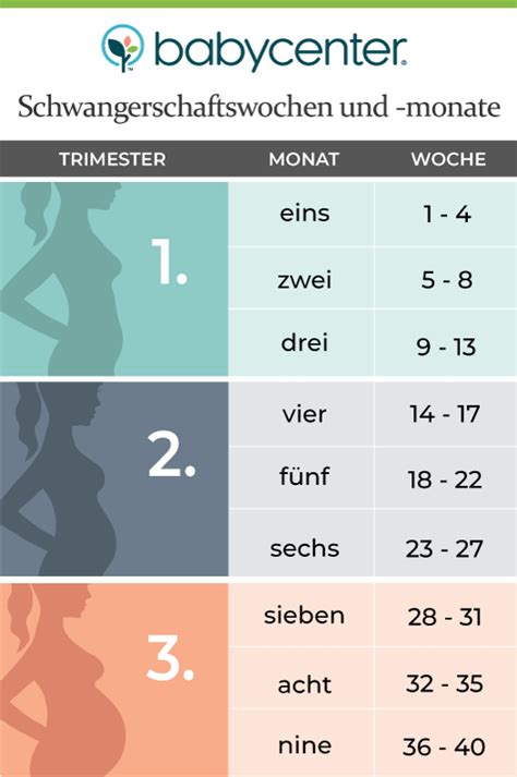 Ein schwangerschaftstest ist dann sinnvoll, wenn folgende körperliche veränderungen auf eine schwangerschaft hinweisen Ihre Schwangerschaft - die Wochen, Monate und Trimester ...
