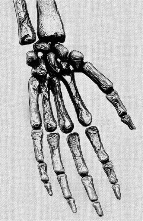 Skeleton Hand Traditional Tattoo Art Drawing Illustrations