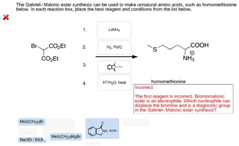 Gabriel Synthesis Of Amino Acids - The Gabriel-Malonic ester synthesis can be used to | Chegg.com