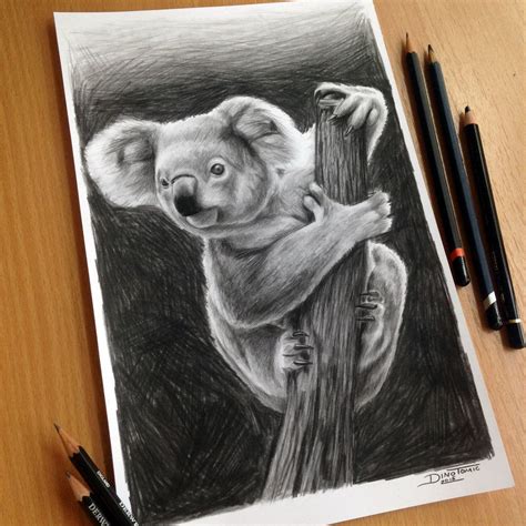 Koala Pencil Drawing Koala Drawing Drawings Animal Drawings