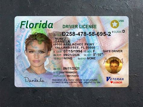 Florida Driver License Psd Template Psdjet