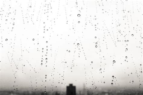 Wallpaper Id 1114115 Dew Nature Outdoors Textured Rain Drop Wet Drops Glass