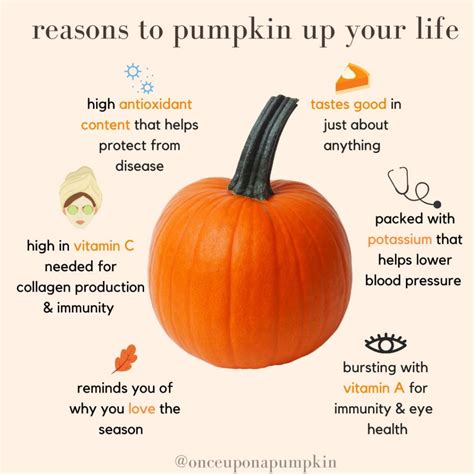 Health Benefits Of Pumpkin Once Upon A Pumpkin