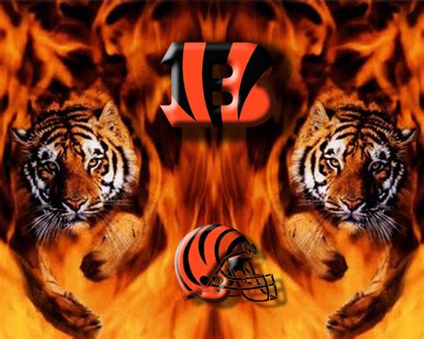 Cincinnati Bengals 5b Cincinnati Bengals Bengals Will Win The