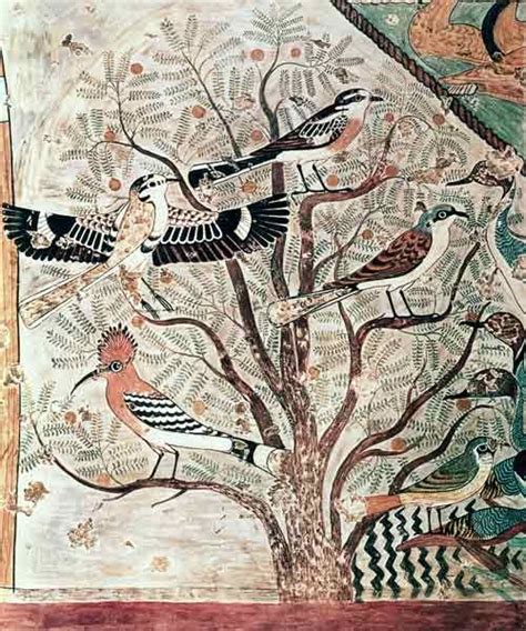 Ancient Egyptian Painting Birds In An Acacia Tree Wall Painting From