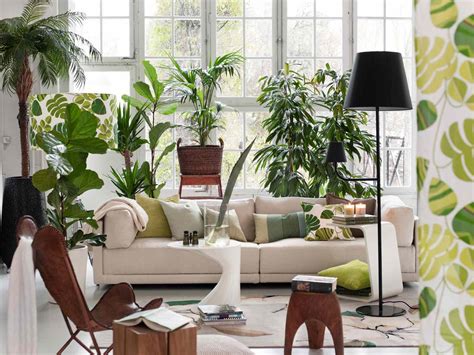 15 Plant Room Ideas for a Lush, Leafy Oasis