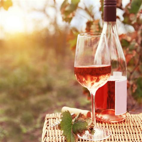 Your Guide To Rosé Wines From The Vine