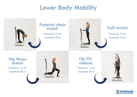 Lower Body Mobility Exercises Exercise Vibration Machine Lower