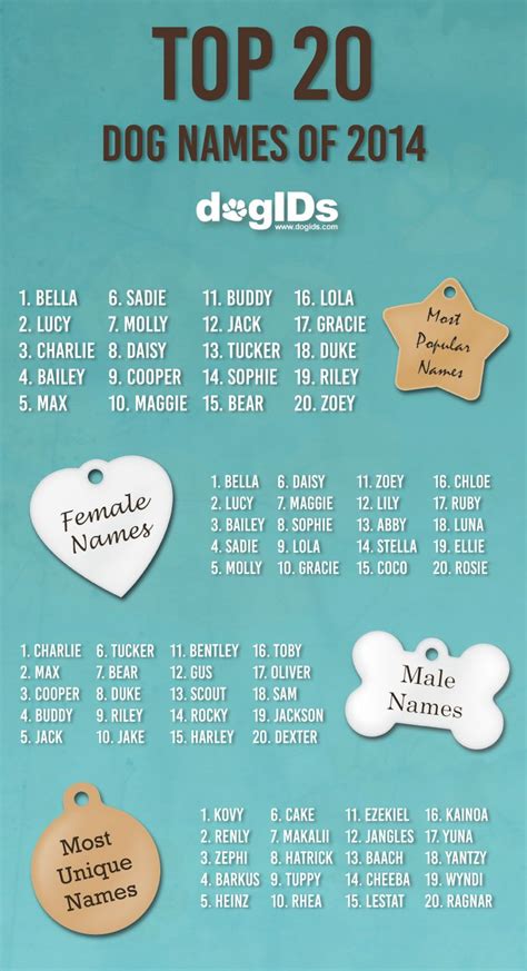 The Top Dog Names of 2014 | Dog names, Boy dog names, Cute ...