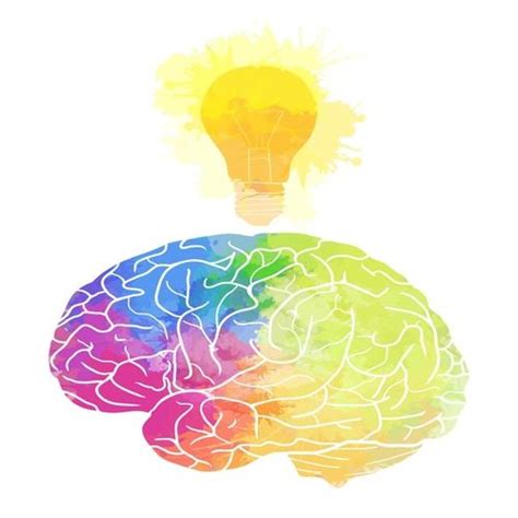 nootropic for optimizing overall cognitive health wholefoods magazine