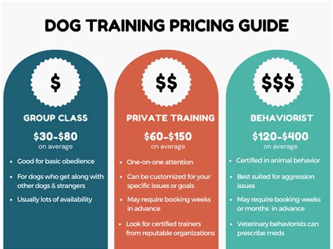 How Much To Train A Dog Pet And Animal Blog