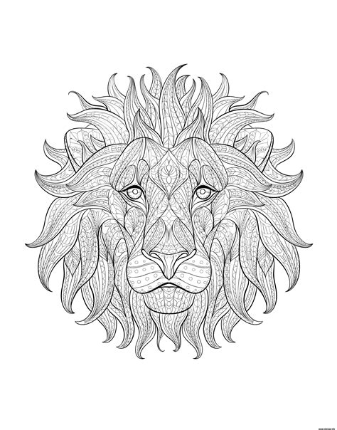 Coloriage Adulte Tete Lion 3 Dessin Adulte Animaux à Imprimer