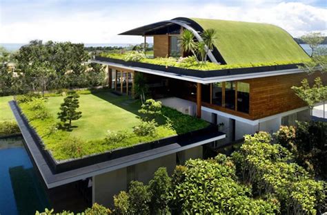 Container Home Green Roof Roof Garden