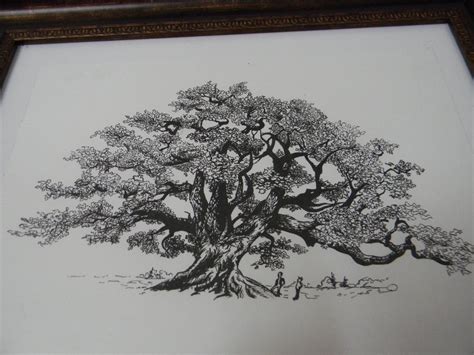 Old Oak Tree Drawing At Explore