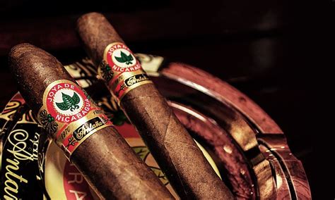 The Best Cigars To Kick Off The Season Good Cigars Cigars Cigar Shops