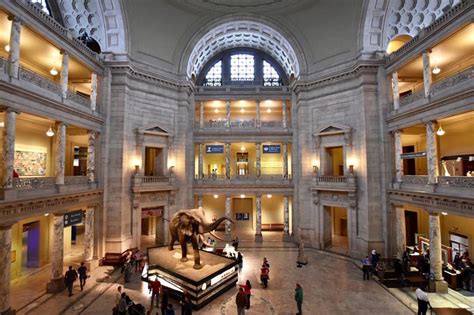 Visiting The National Museum Of Natural History