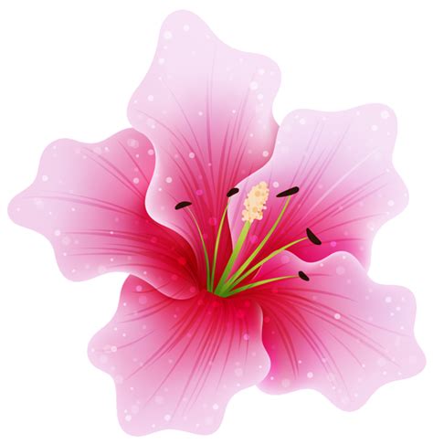 Pink Flower PNG By HanaBell Deviantart On DeviantART Flower Art Flower Painting Floral