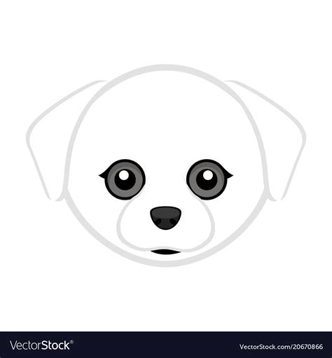 79 Cute Maltese Dog Black And White L2sanpiero