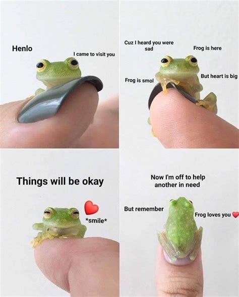 Frog Is Here Rwholesomememes Wholesome Memes Know Your Meme