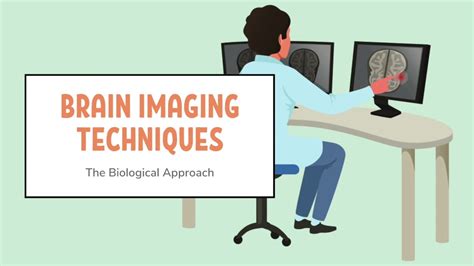 Ib Psychology Brain Imaging Techniques Youtube