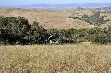 Miles Of Scenic Trails At Monterey Countys Fort Ord Sfgate