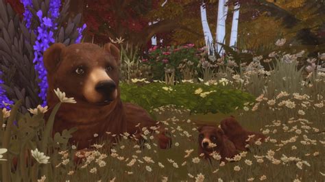 Grizzly Bear At Kalino Sims 4 Updates