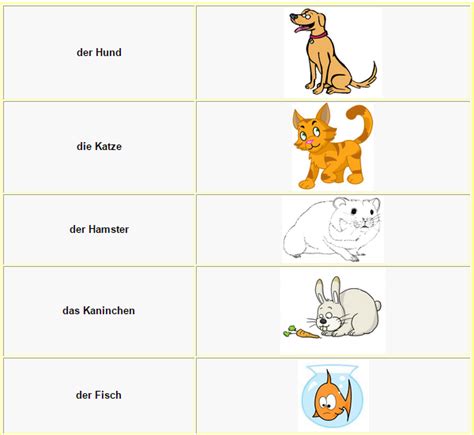 German Vocabulary Animals L E A R N G E R M A N