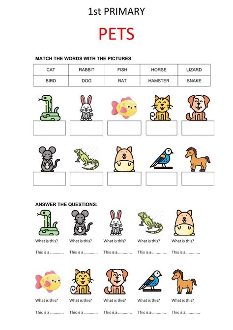 Pets Online Exercise For 1st Primary English Activities For Kids
