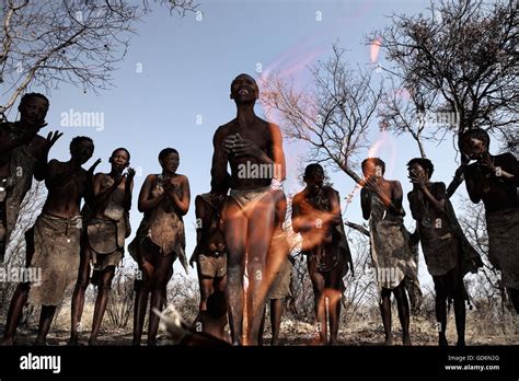 the ncoakhoe san bushmen perform a ritual dance around a fire at d kar near ghanzi in botswana
