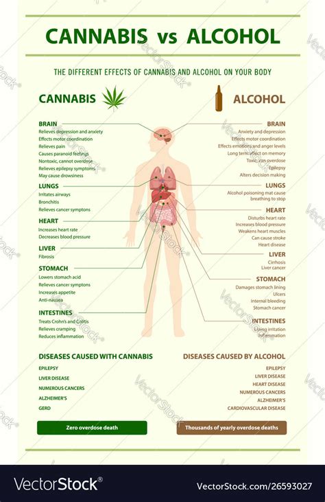 Cannabis Vs Alcohol Vertical Infographic Vector Image