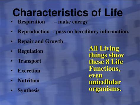 PPT - Characteristics of Life PowerPoint Presentation, free download ...