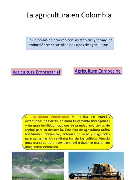 La Agricultura En Colombia Pdf Agricultura Colombia