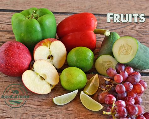 Edible flowers fruit and vegetable. What's the Difference Between Fruits and Vegetables? - My ...