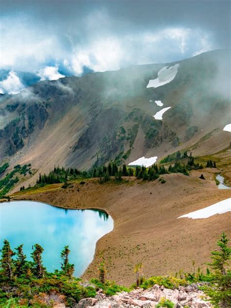 10 Best Things To Do At Olympic National Park Washington More Than
