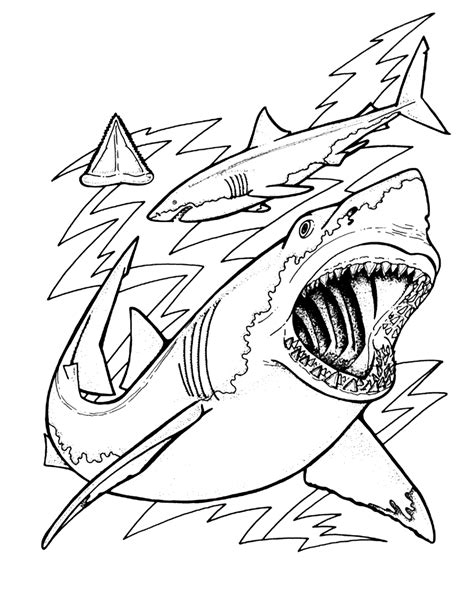 Printable Coloring Pages Sharks