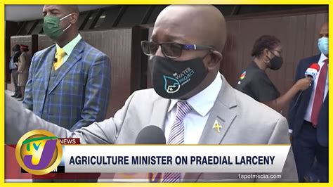 Agriculture Minister On Praedial Larceny Tvj News Youtube