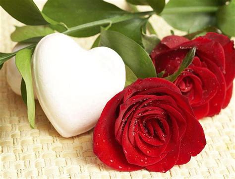 Red Rose Heart Flower Pictures Best Flower Site