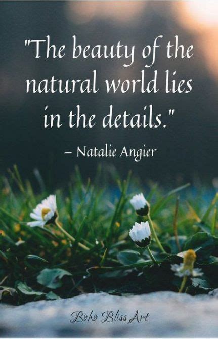 63 Trendy Mother Nature Quotes Life Mother Nature Quotes Nature
