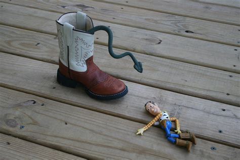 Find and save theres a snake in my boot memes | from instagram, facebook, tumblr, twitter & more. Go Momma!: there's a snake in my boot!