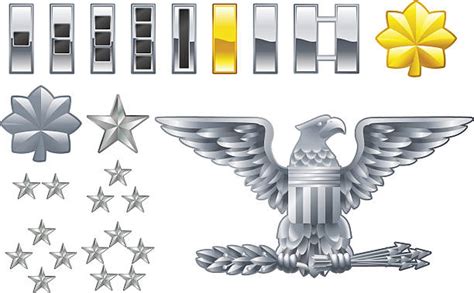 Officer Military Rank Illustrations Royalty Free Vector Graphics Free